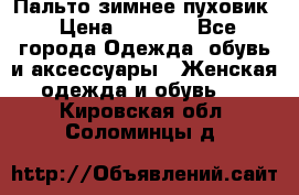 Пальто зимнее пуховик › Цена ­ 2 500 - Все города Одежда, обувь и аксессуары » Женская одежда и обувь   . Кировская обл.,Соломинцы д.
